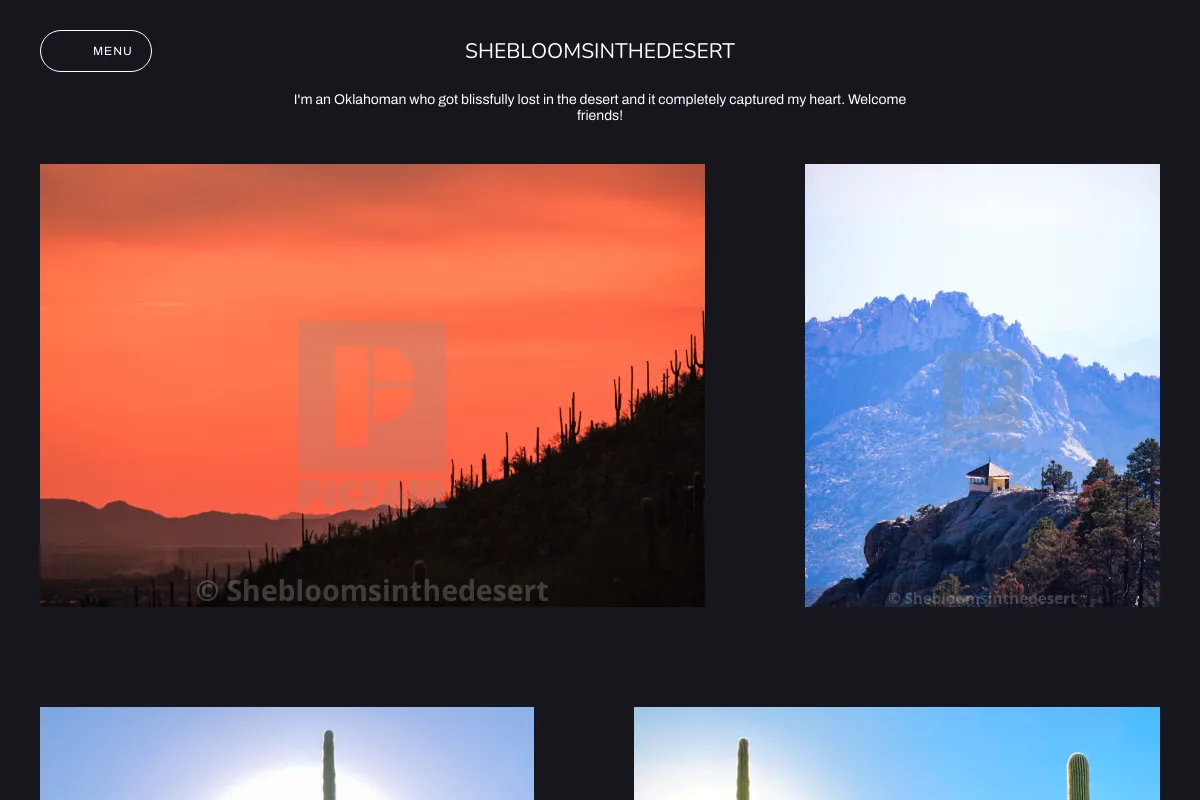 Shebloomsinthedesert