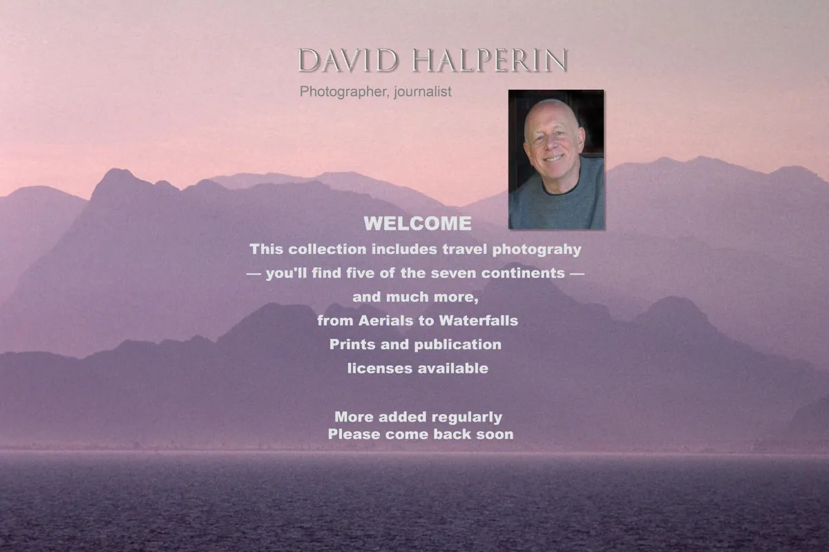 David Halperin