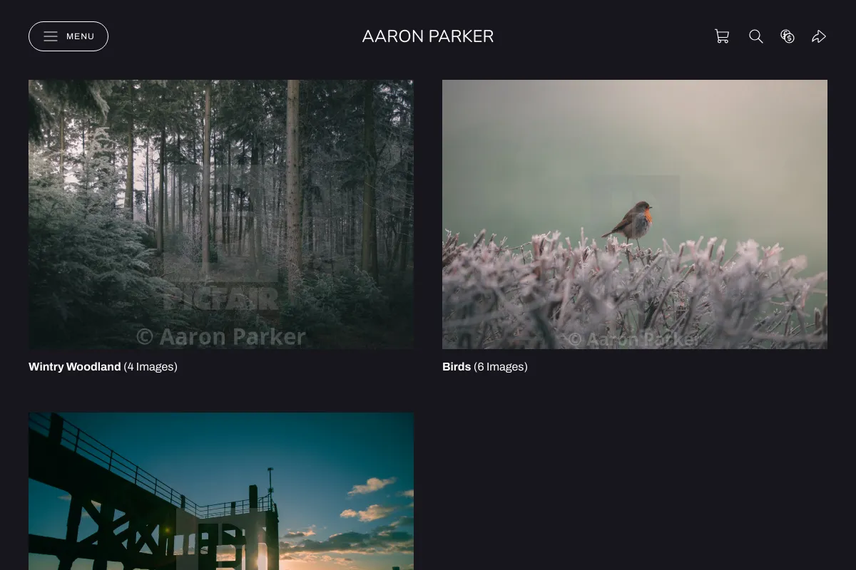 Aaron Parker