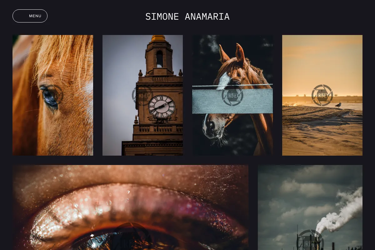 Simone AnaMaria