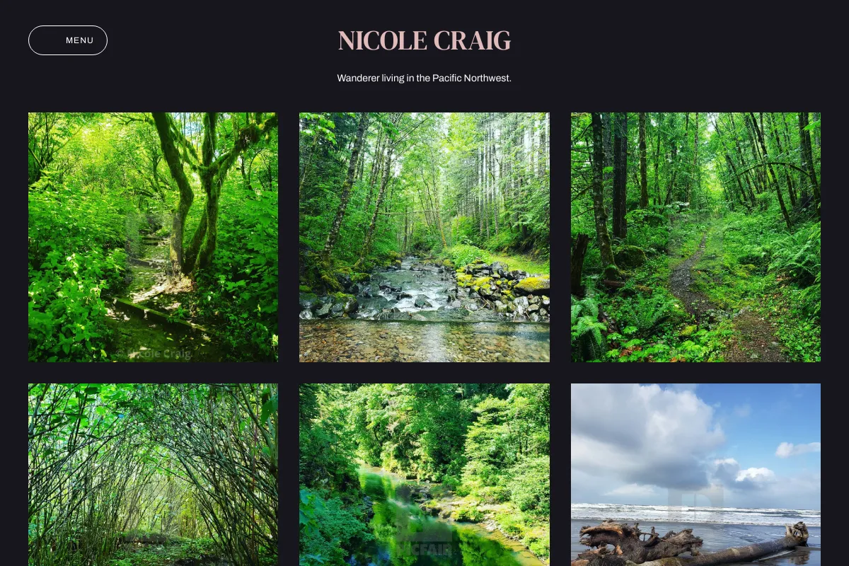 Nicole Craig