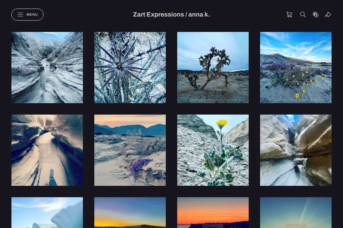 Zart Expressions / anna k.