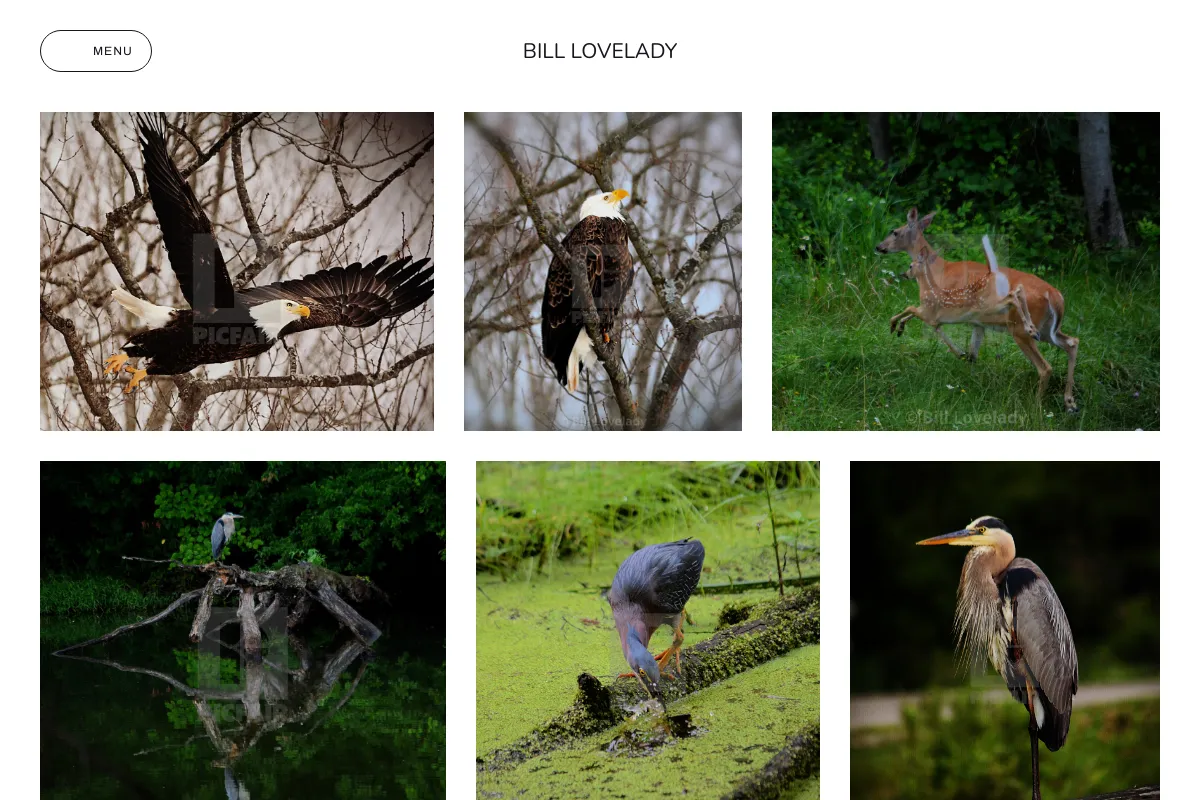 Bill Lovelady