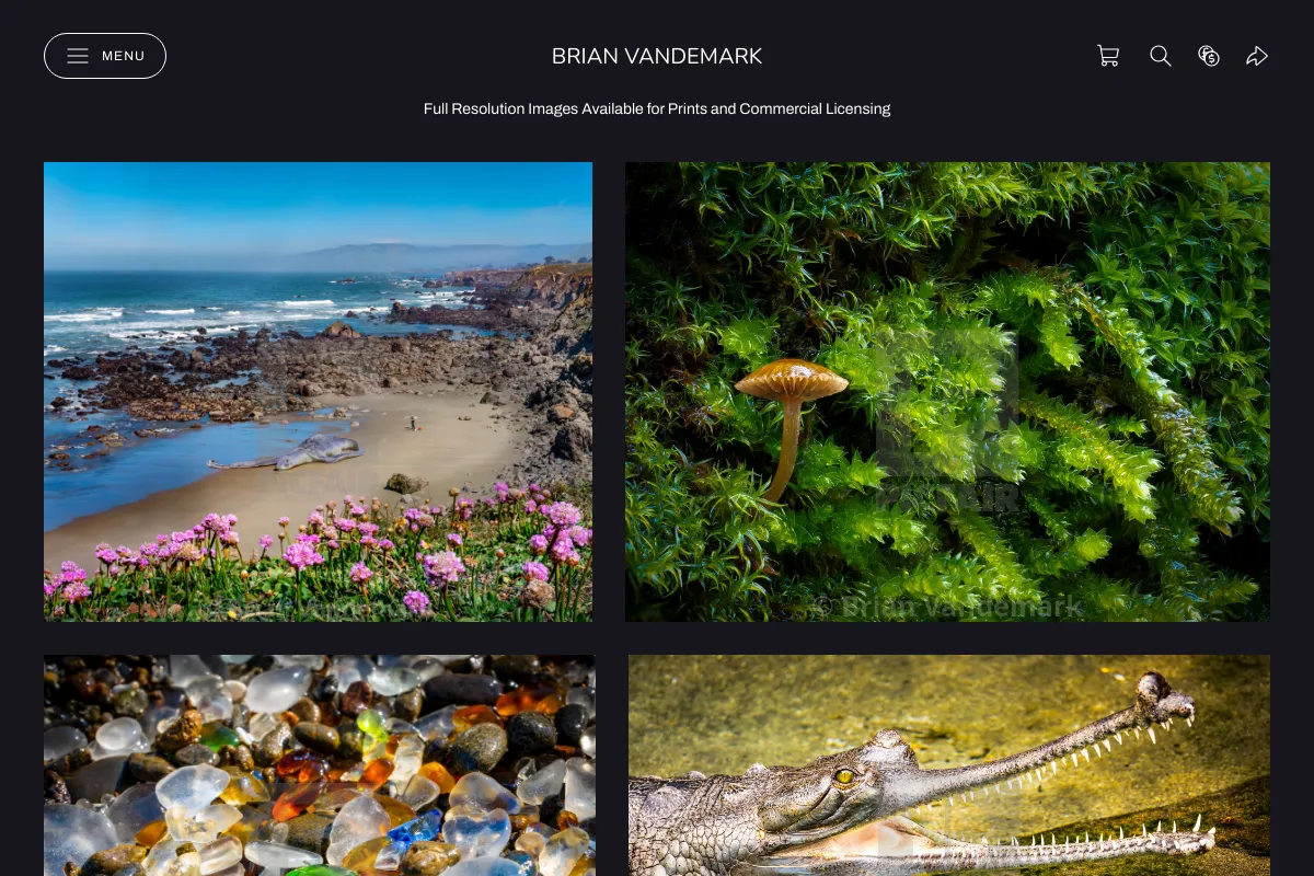 Brian Vandemark