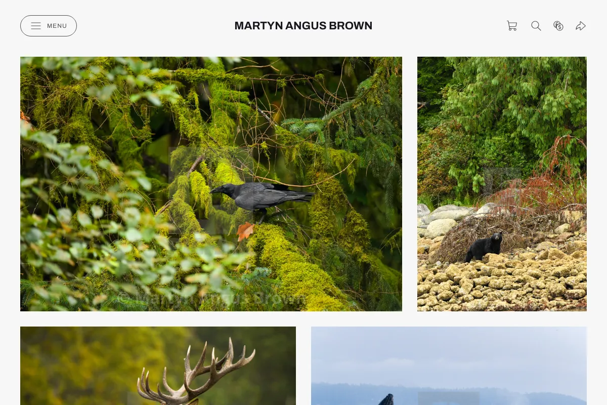 Martyn Angus Brown