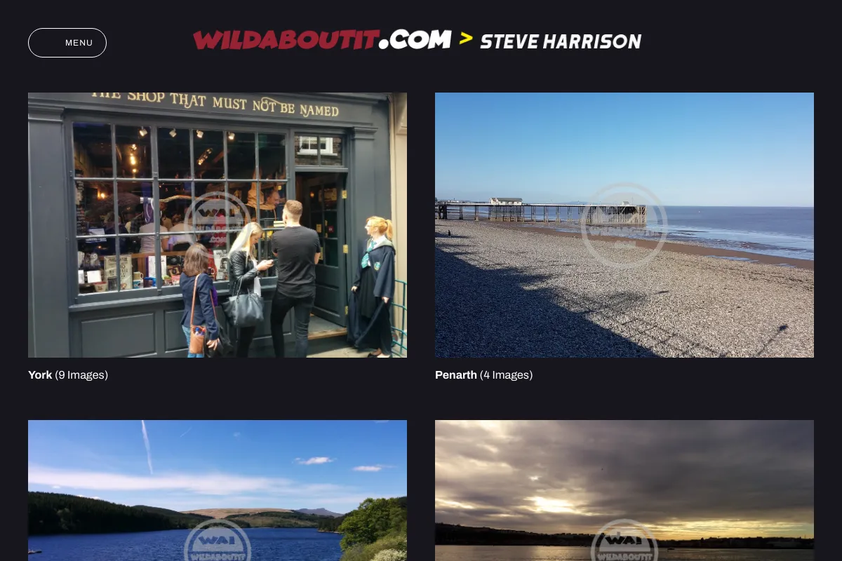 Steve Harrison
