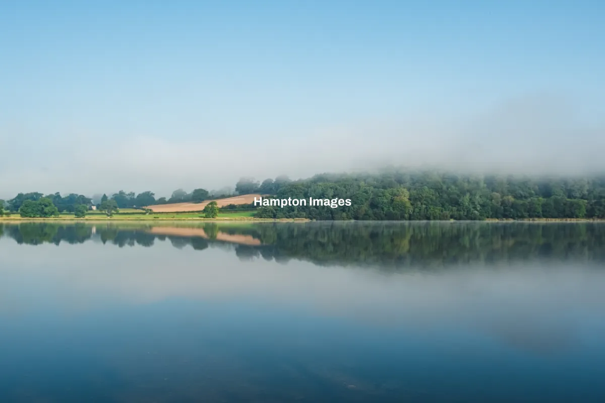 Hampton Images