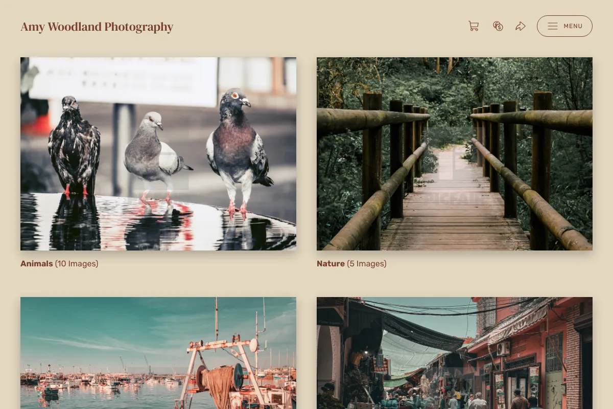 Amy Woodland Photography