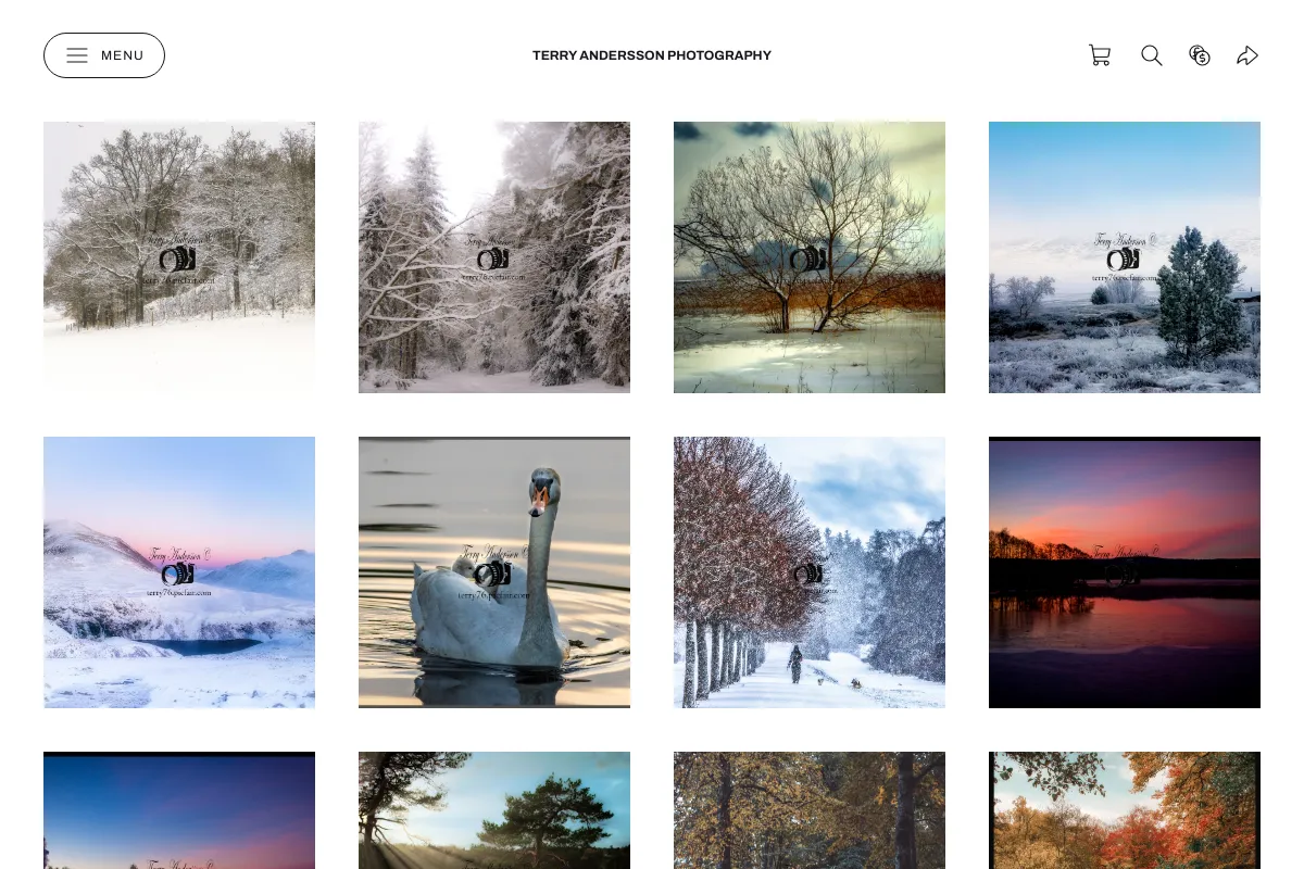 Terry Andersson Photography