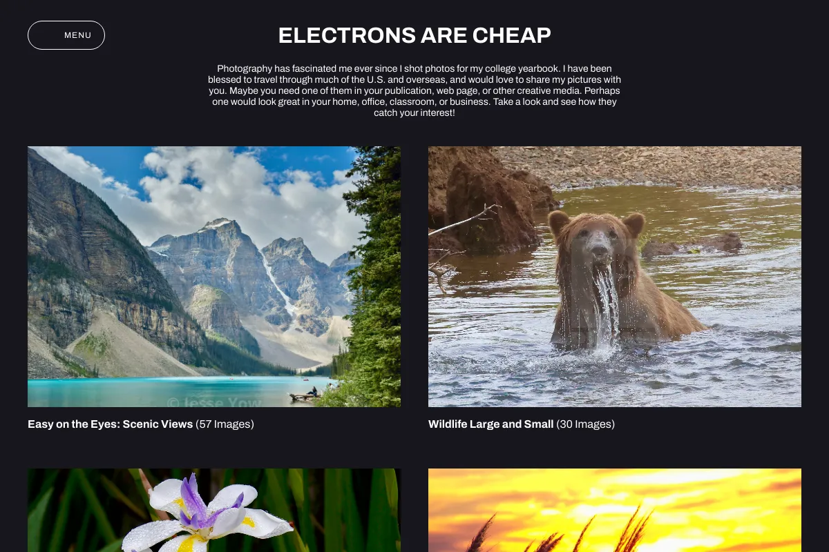 Electrons are Cheap