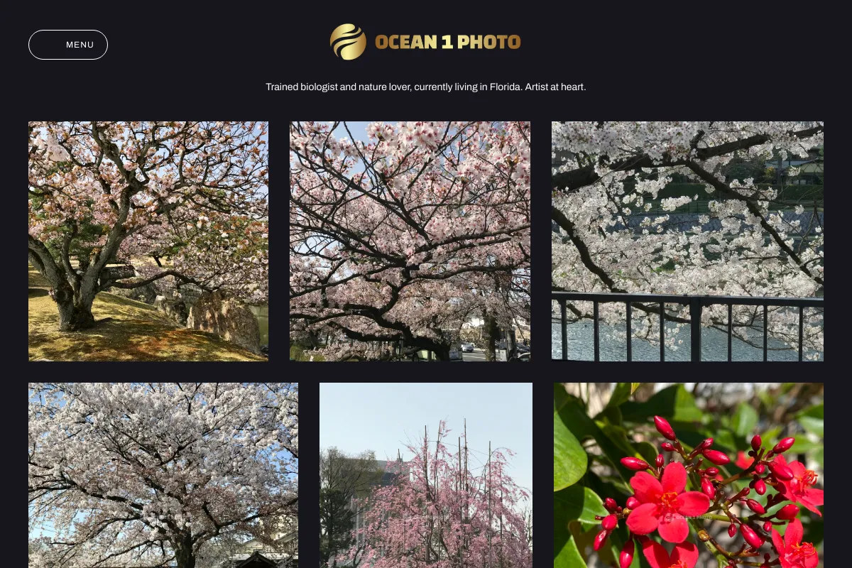 Ocean 1 Photo