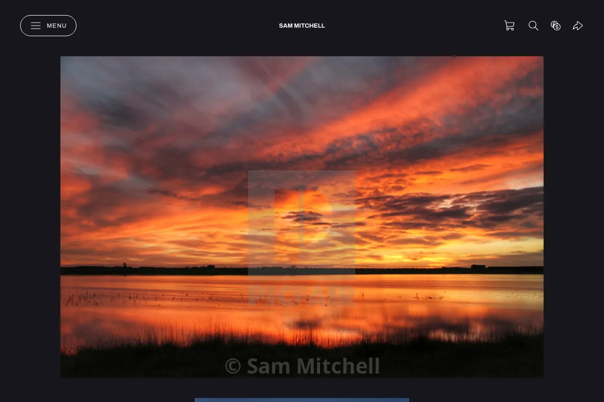 Sam Mitchell