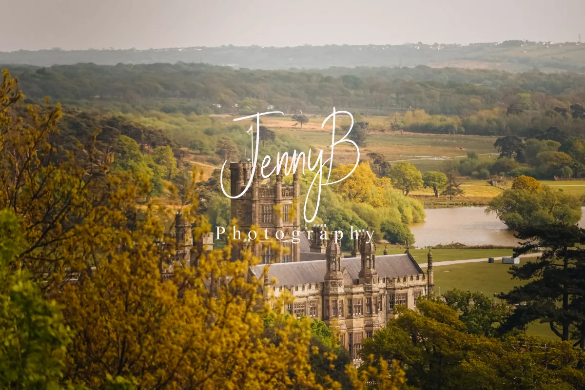 Jennebee_photos