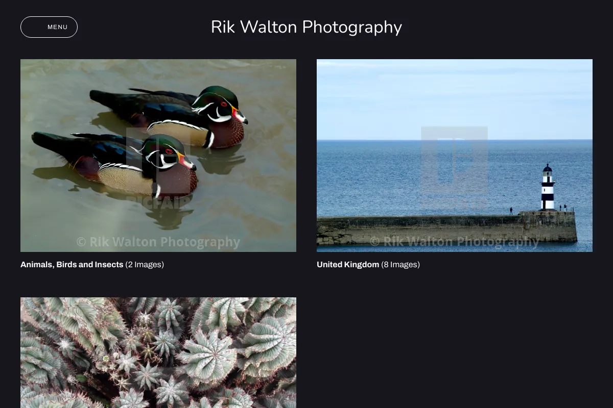 Rik Walton Photography