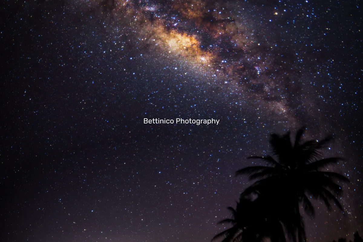 Bettinico Photography