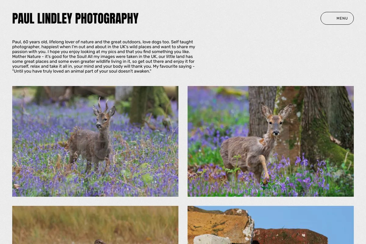 paul lindley photography
