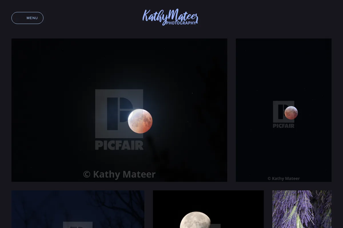 Kathy Mateer