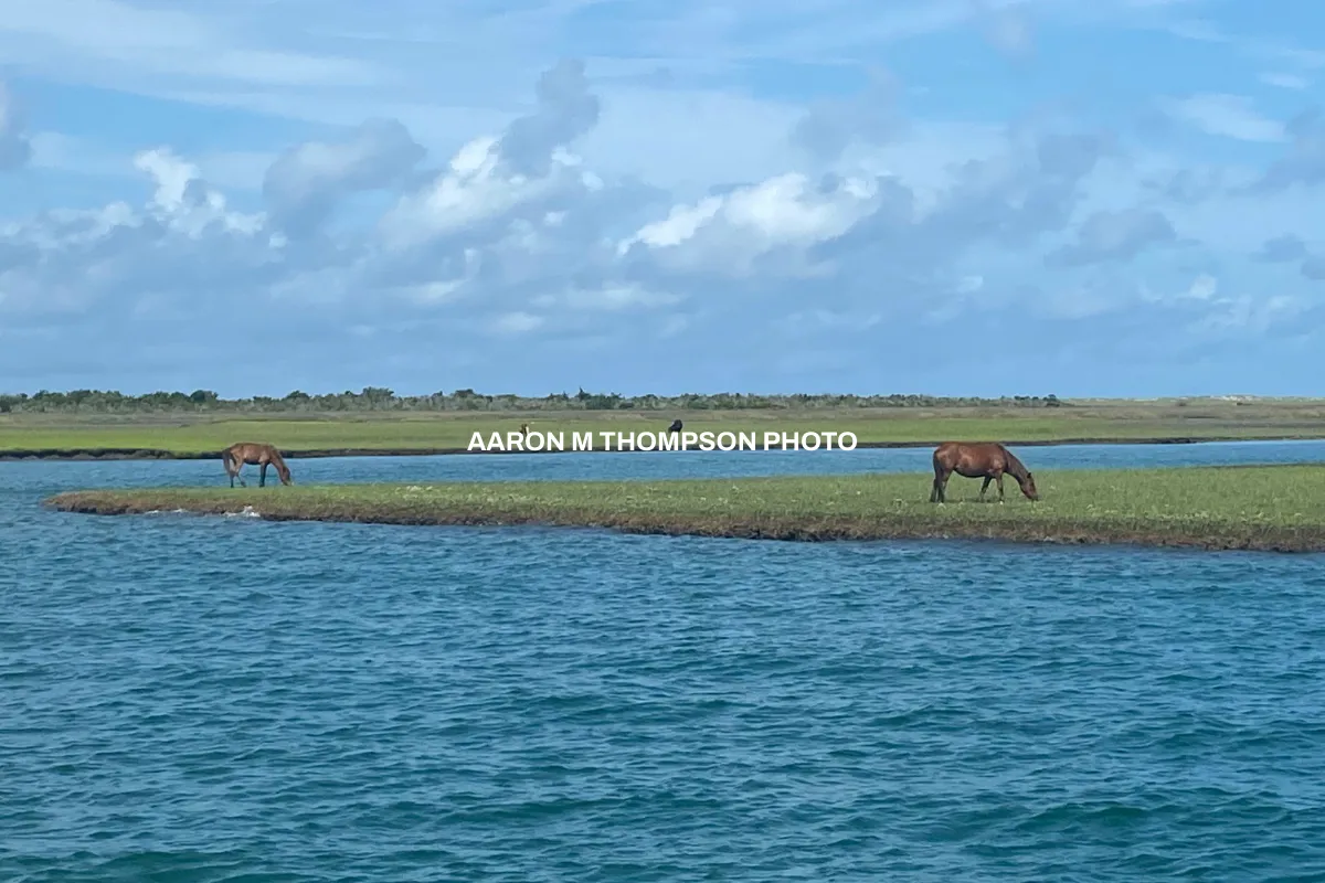 AARON M THOMPSON  PHOTO