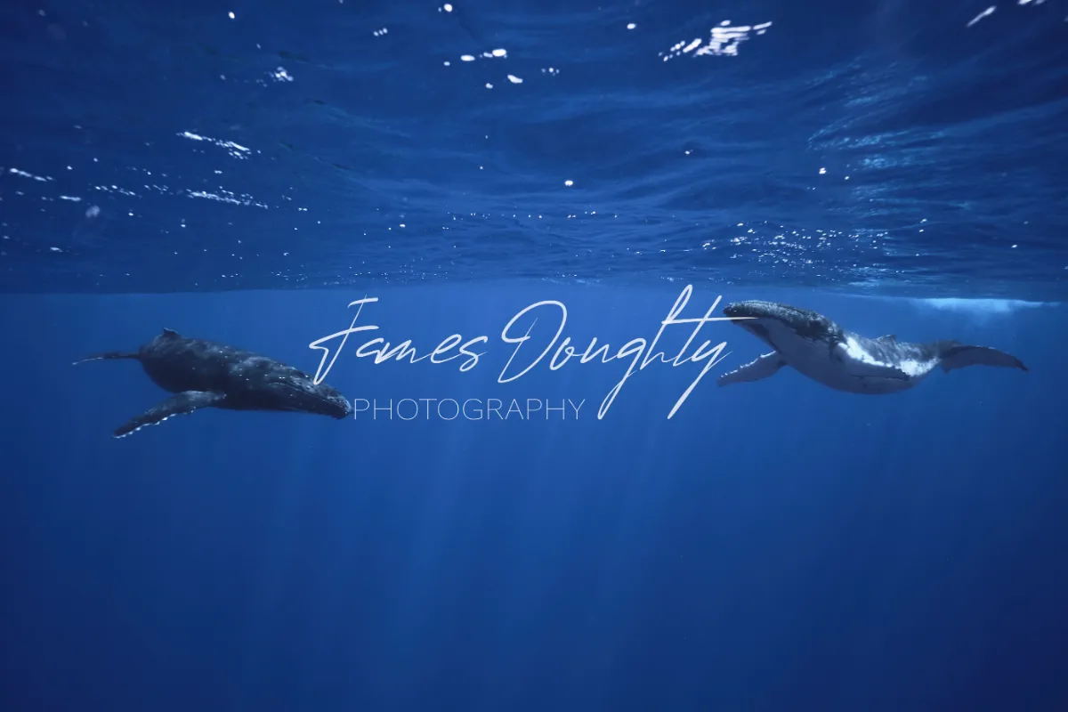 James Doughty