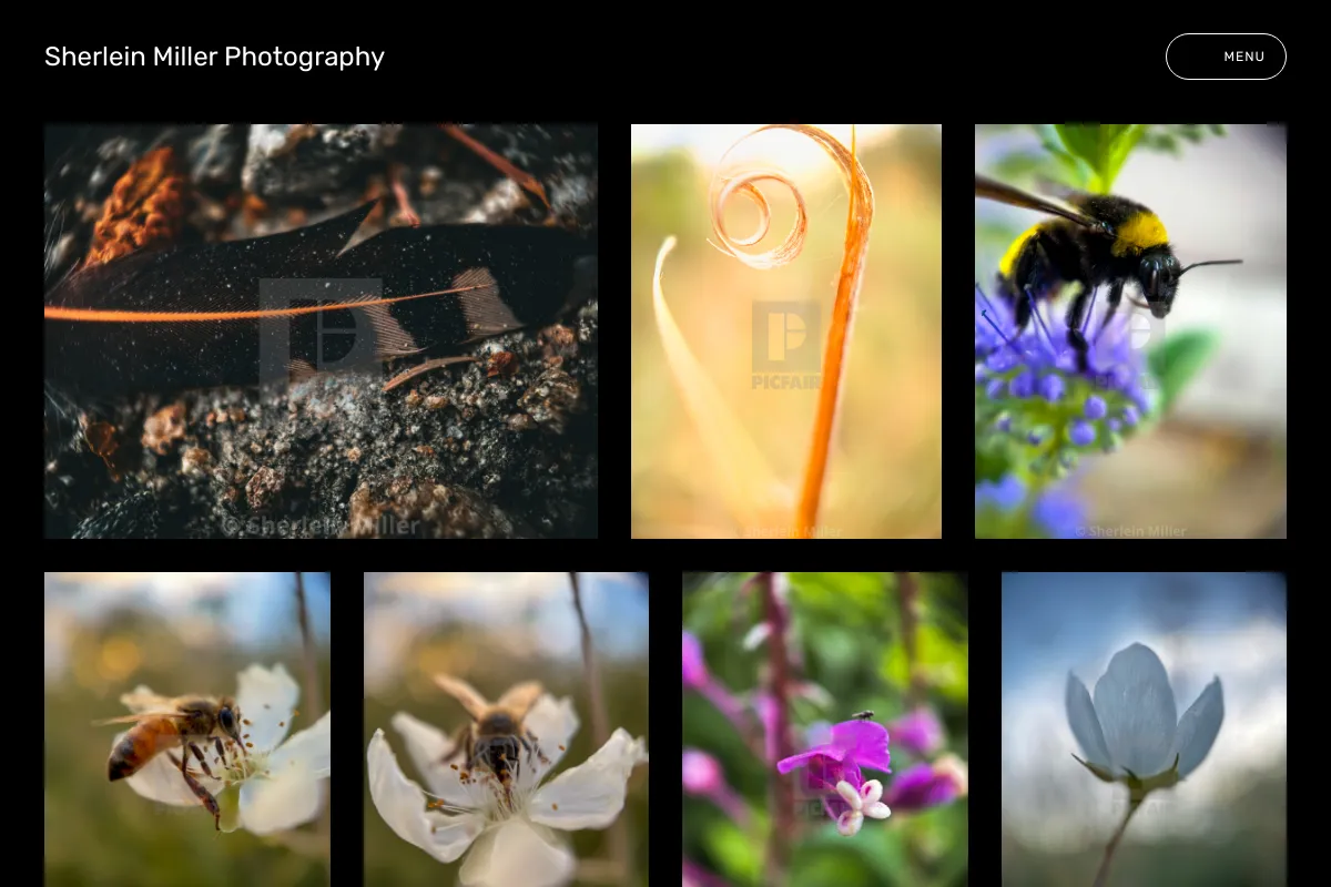 Sherlein Miller Photography