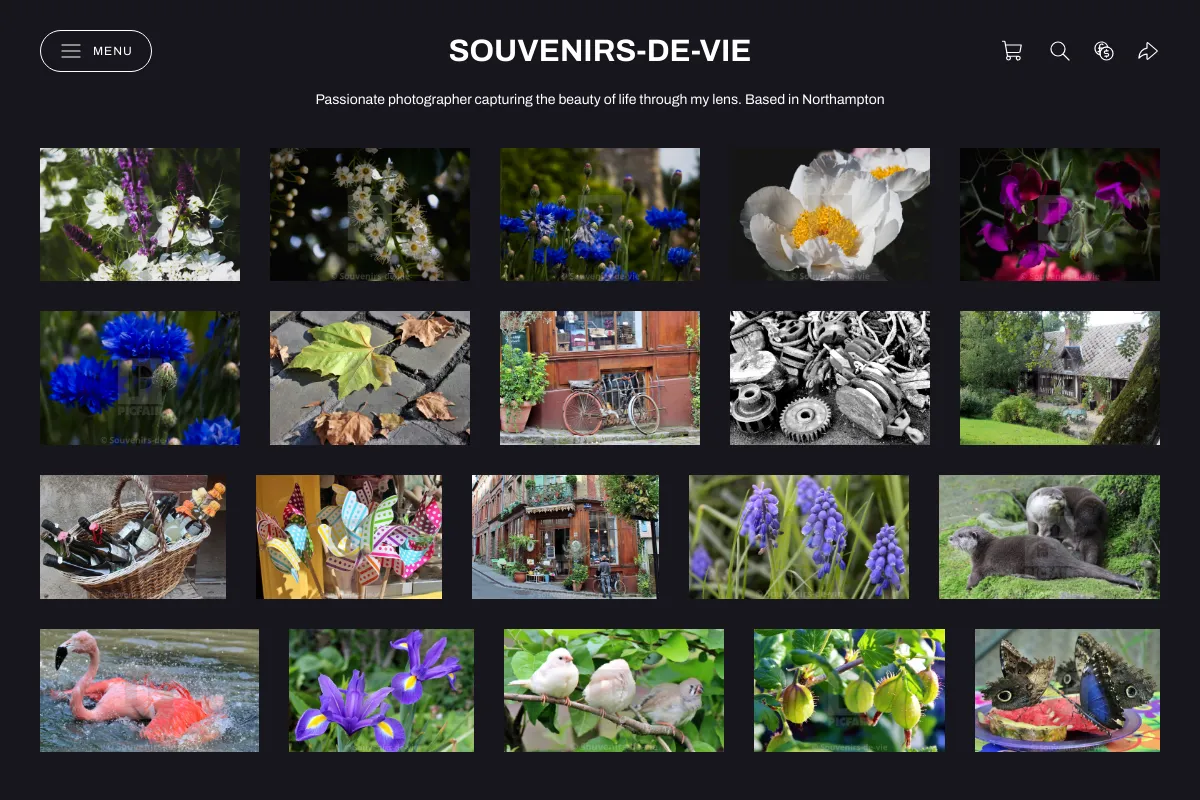 Souvenirs-de-vie