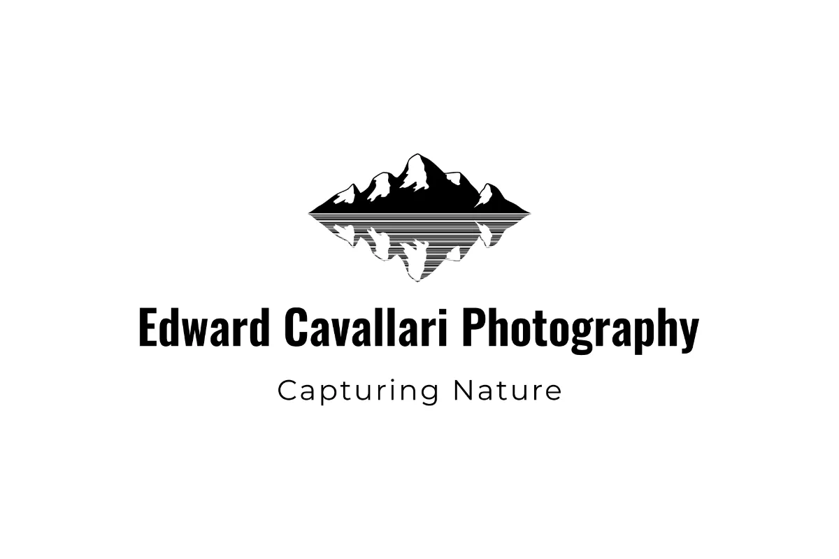 Edward Cavallari Photography