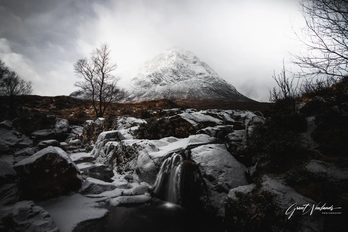 Grant Newlands