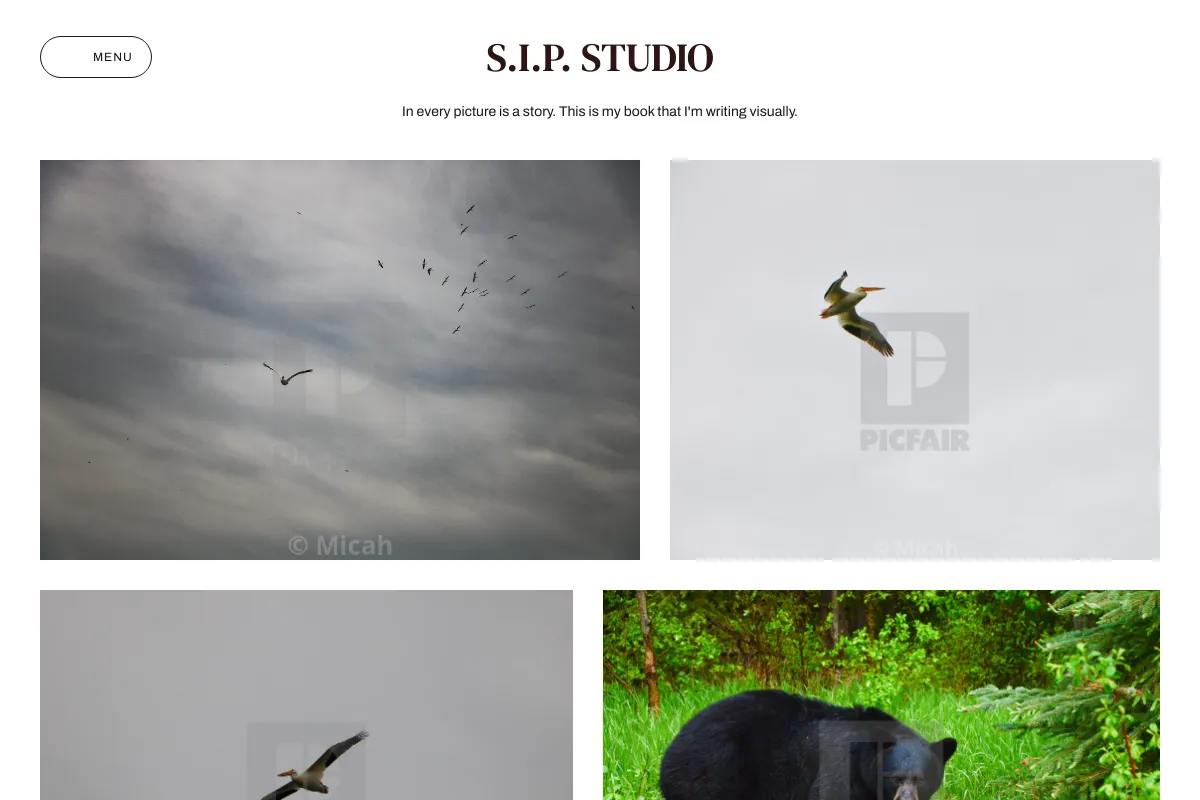 S.I.P. Studio