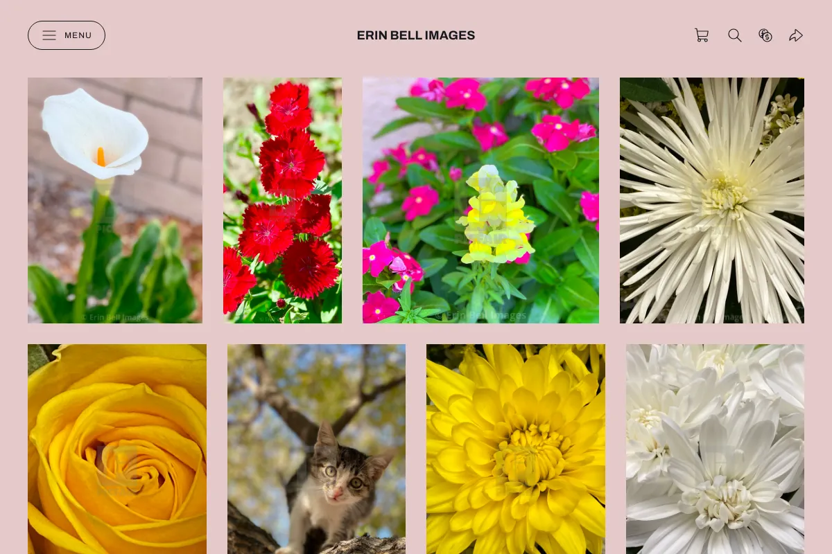 Erin Bell Images