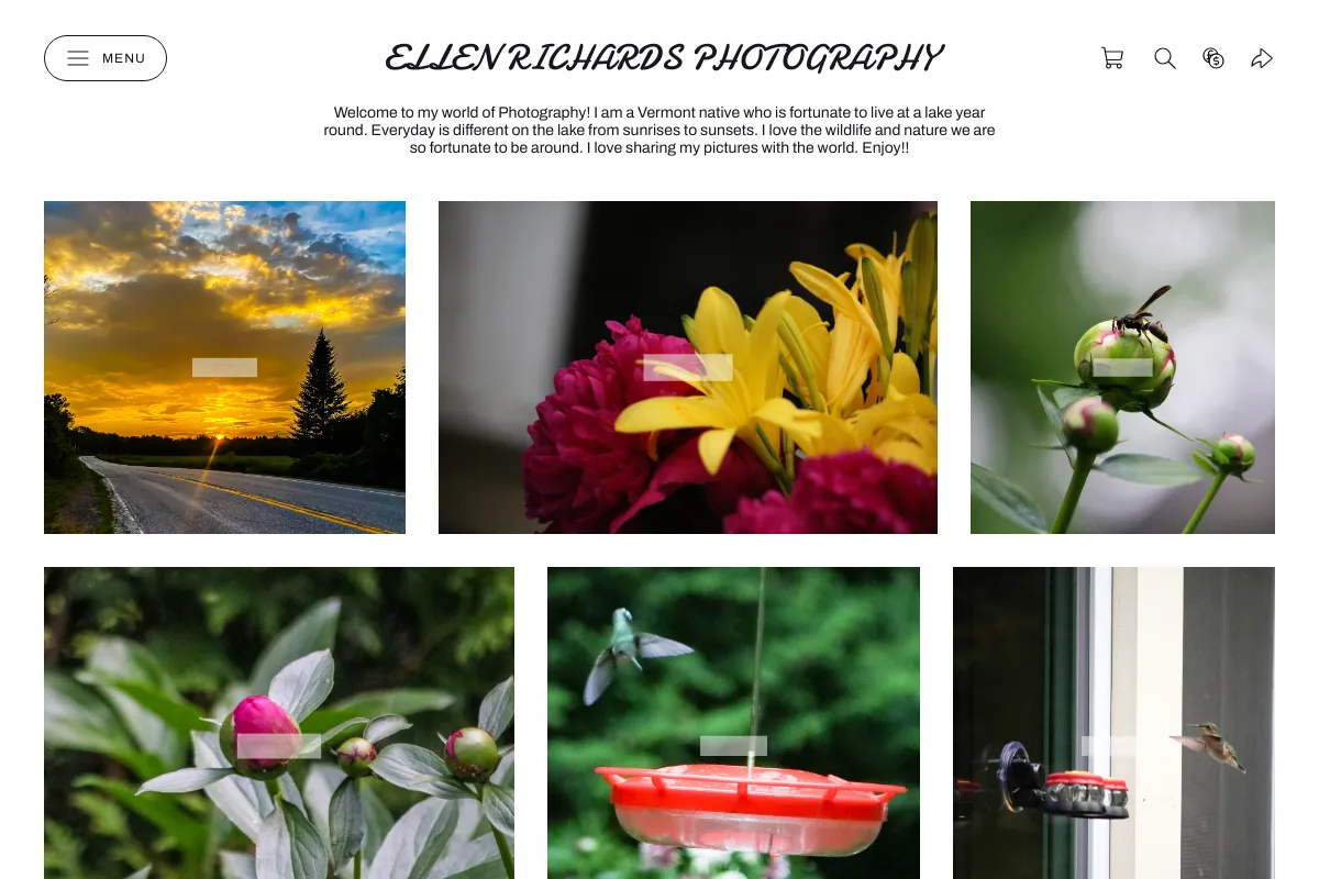 Ellen Richards Photography