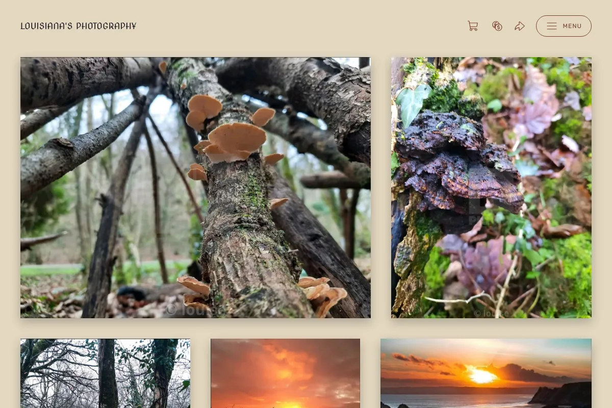  Louisiana's  Photography  