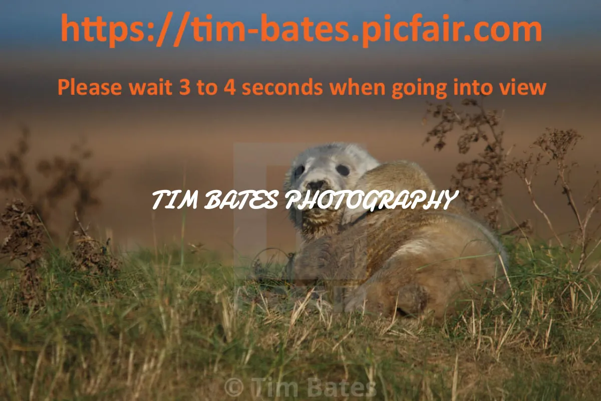 Tim Bates Photography