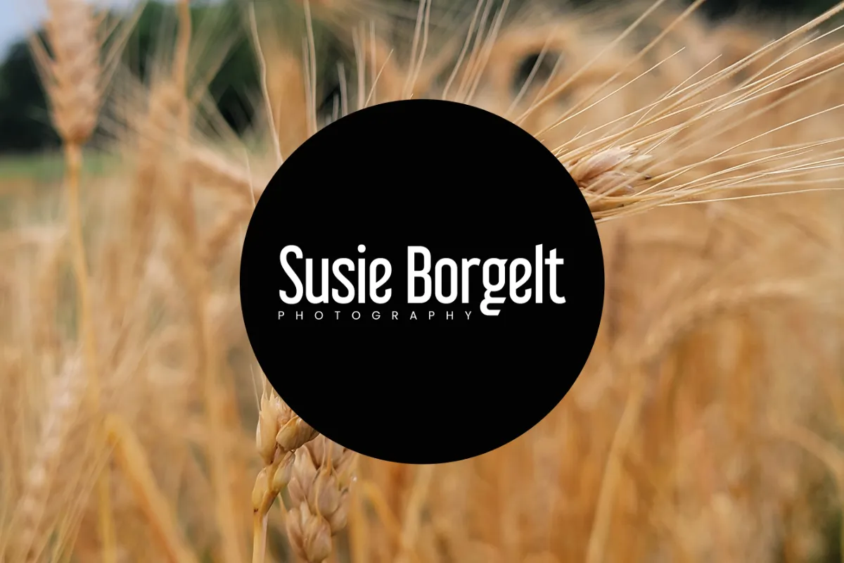 Susie Borgelt