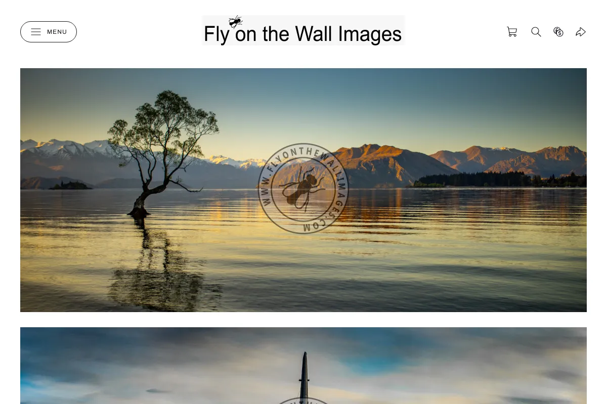 Fly on the Wall Images