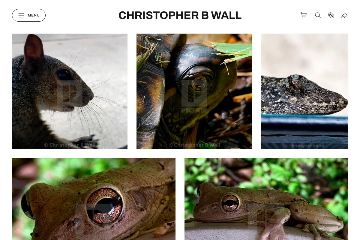Christopher B Wall