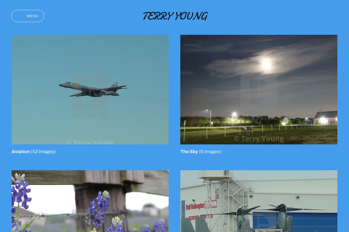 Terry Young