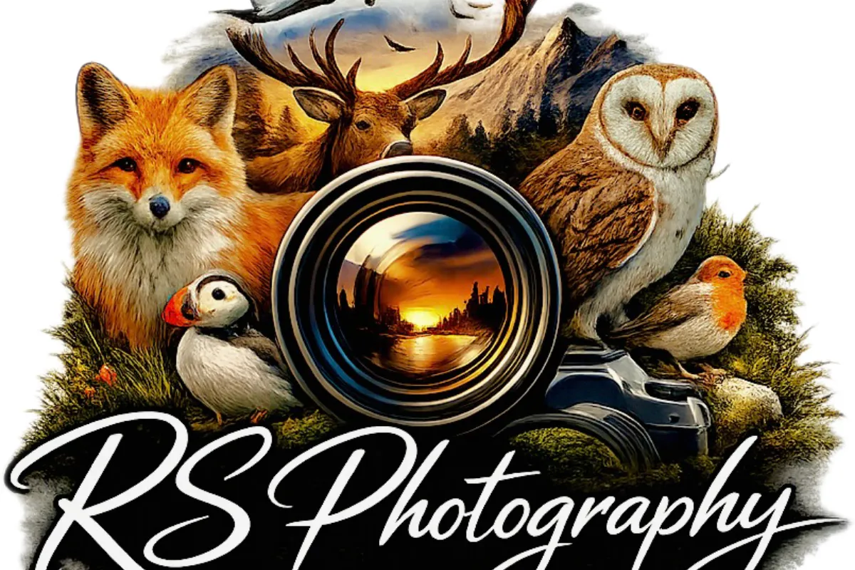 RS Photography