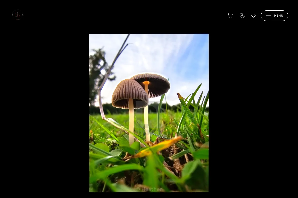H.J.S Photography 