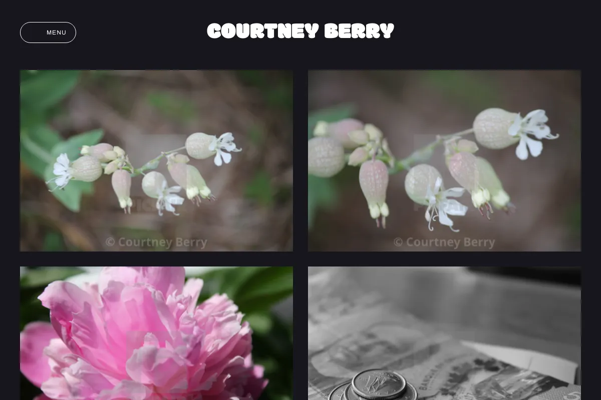 Courtney Berry