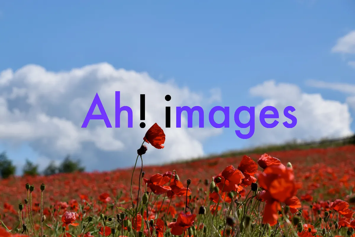 Ah! images