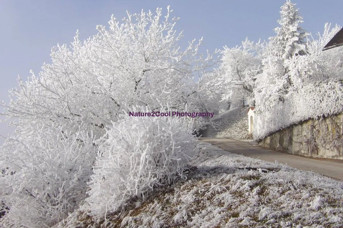 Nature2Cool Photography