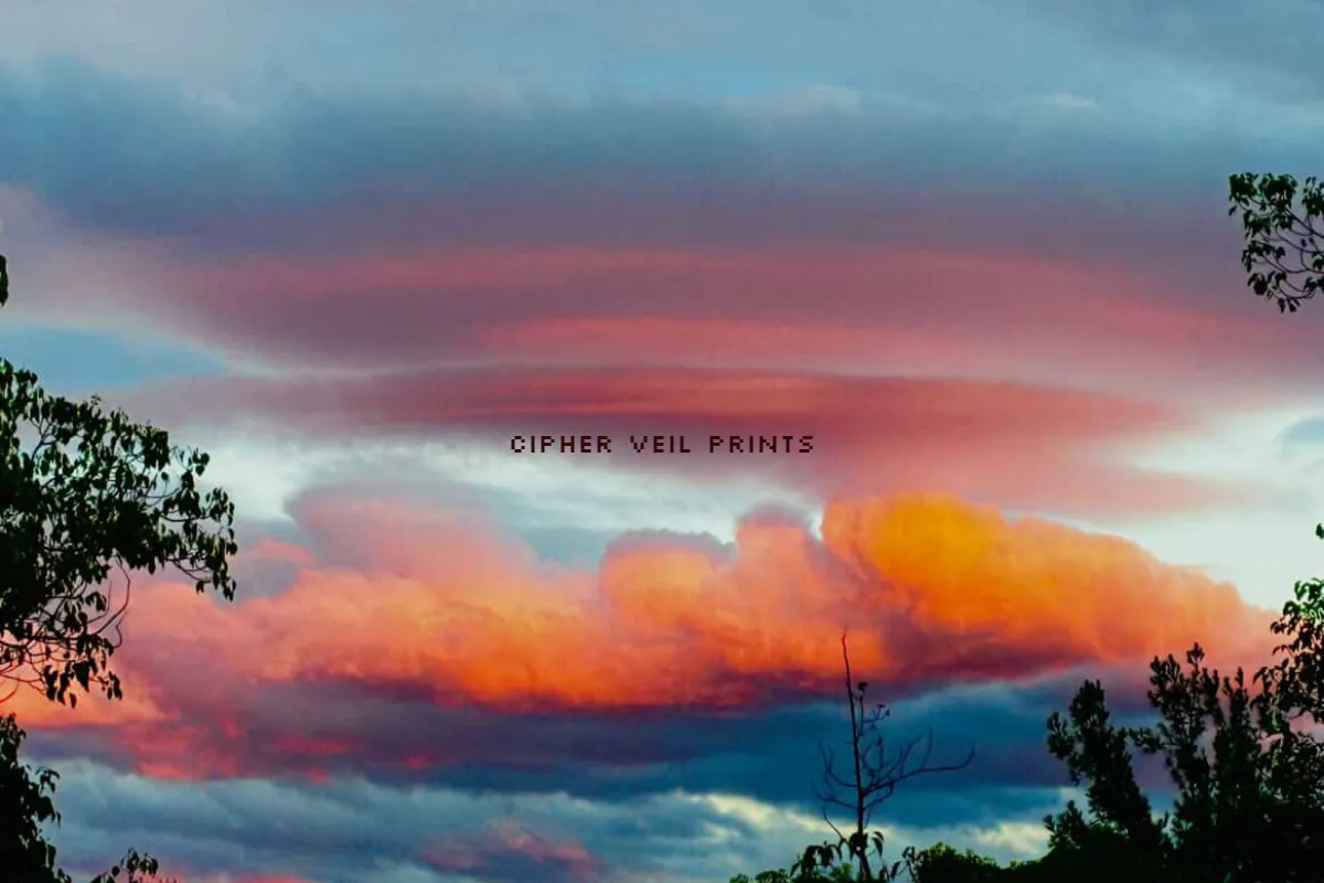 Cipher Veil Prints