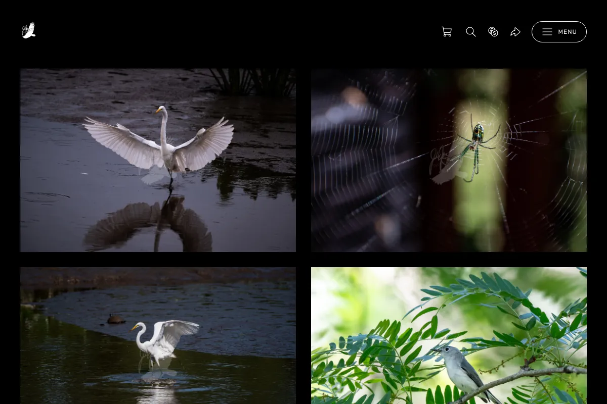 Josh Moritz Photography