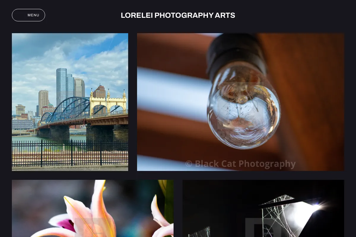 Lorelei Photography Arts