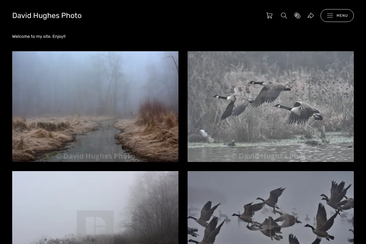 David Hughes Photo