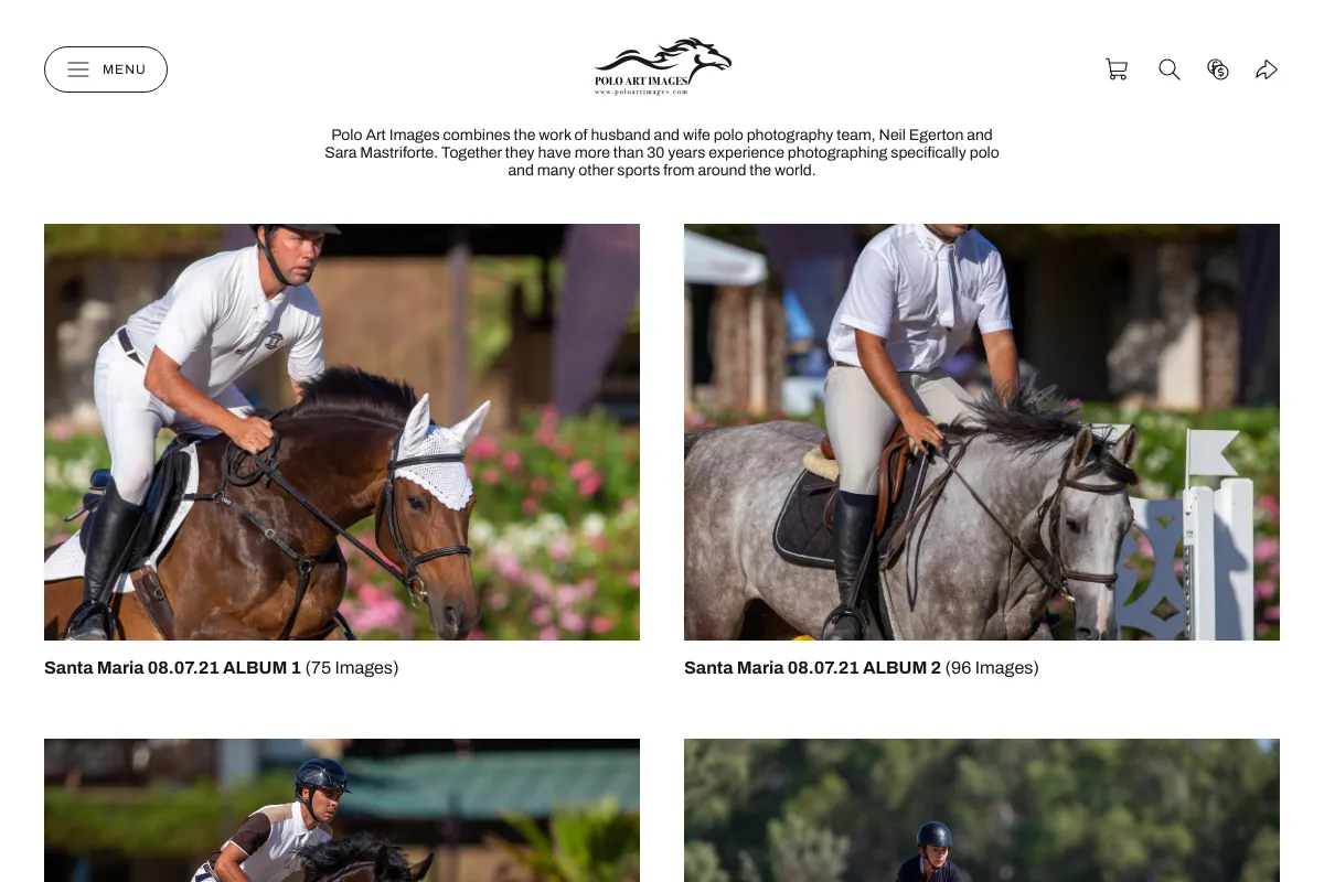 Polo Art Images