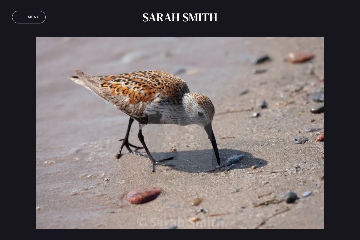 Sarah Smith