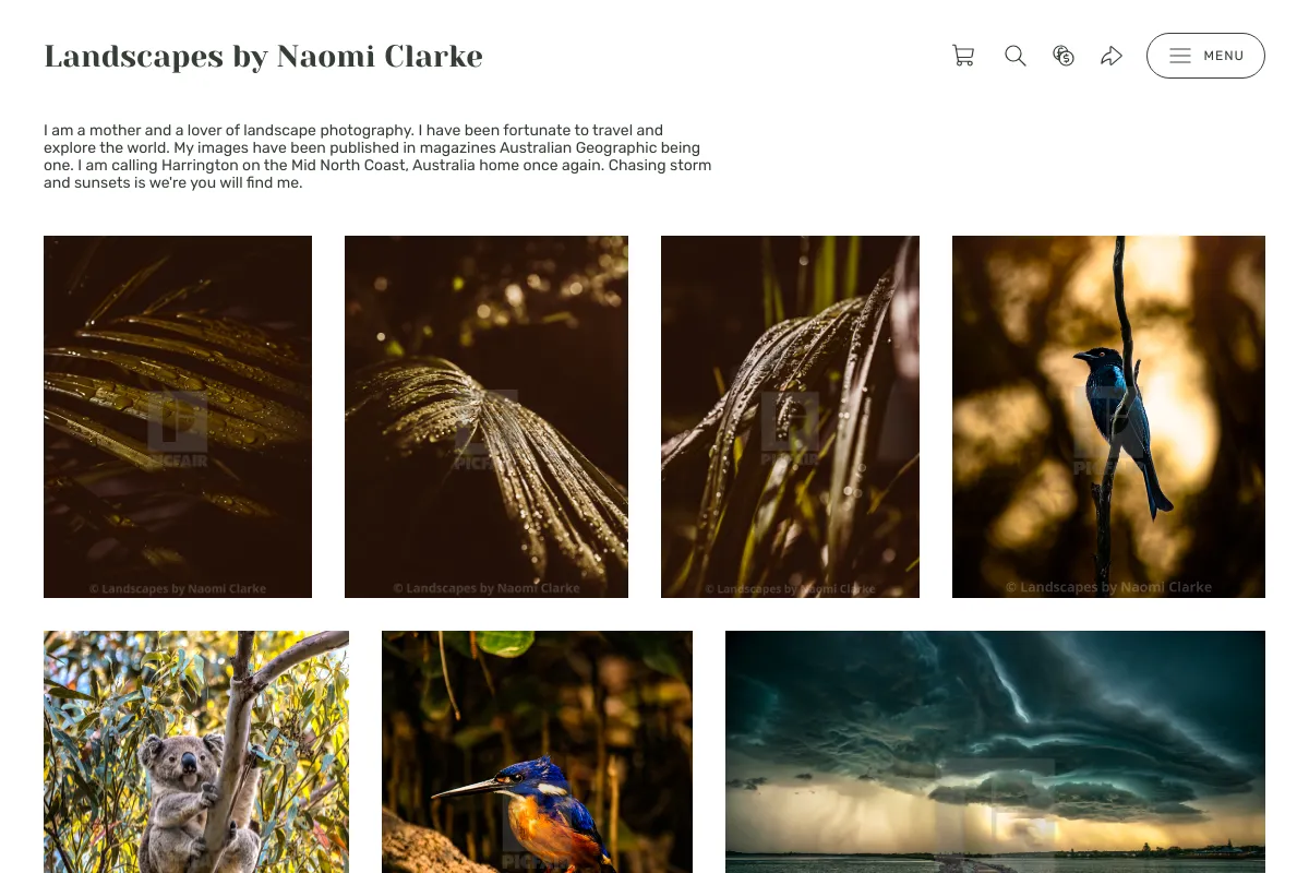 Landscapes by Naomi Clarke