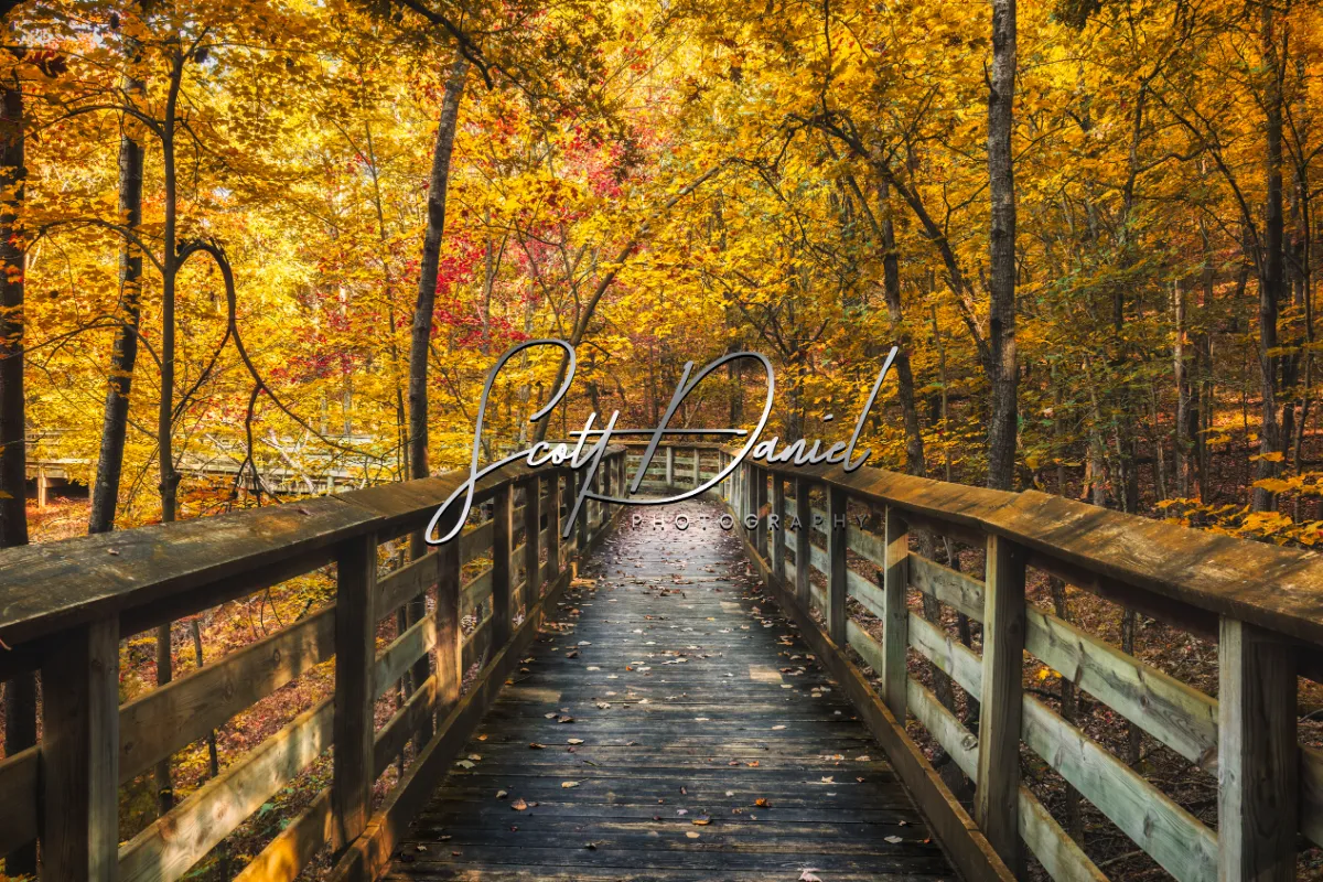 Scott Daniel Photography