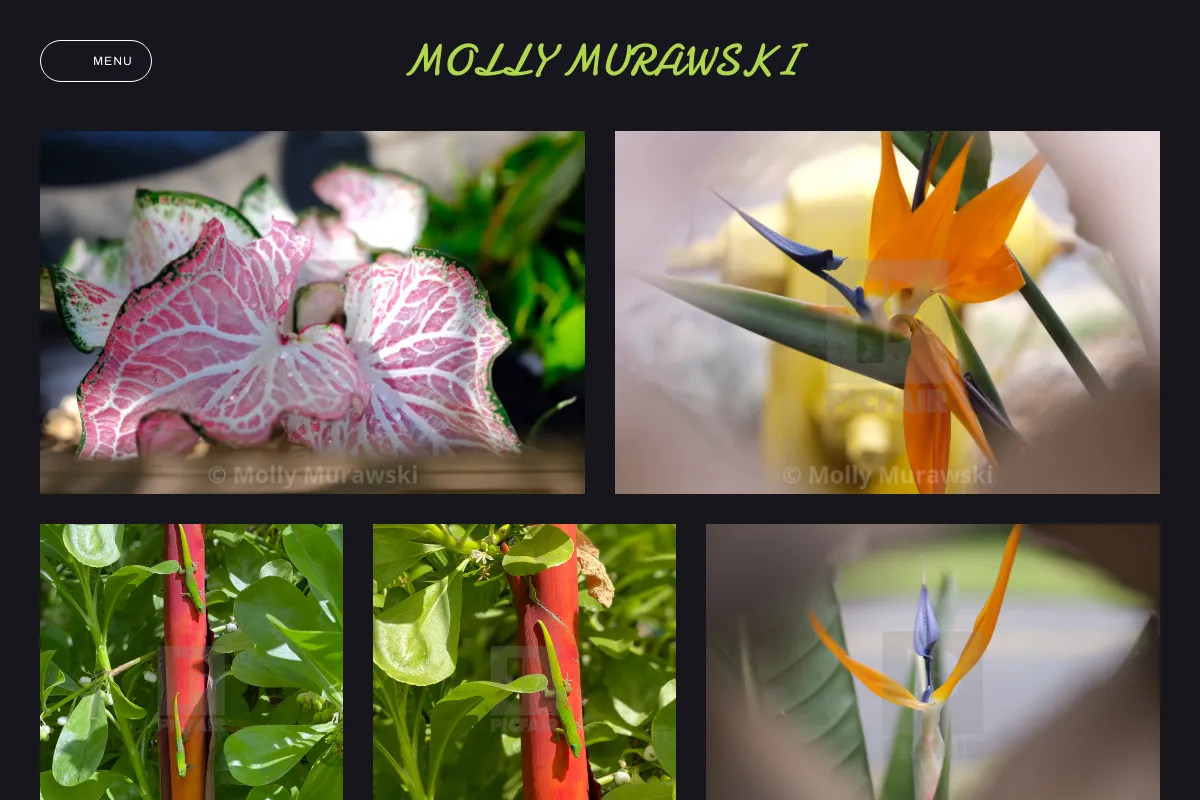 Molly Murawski